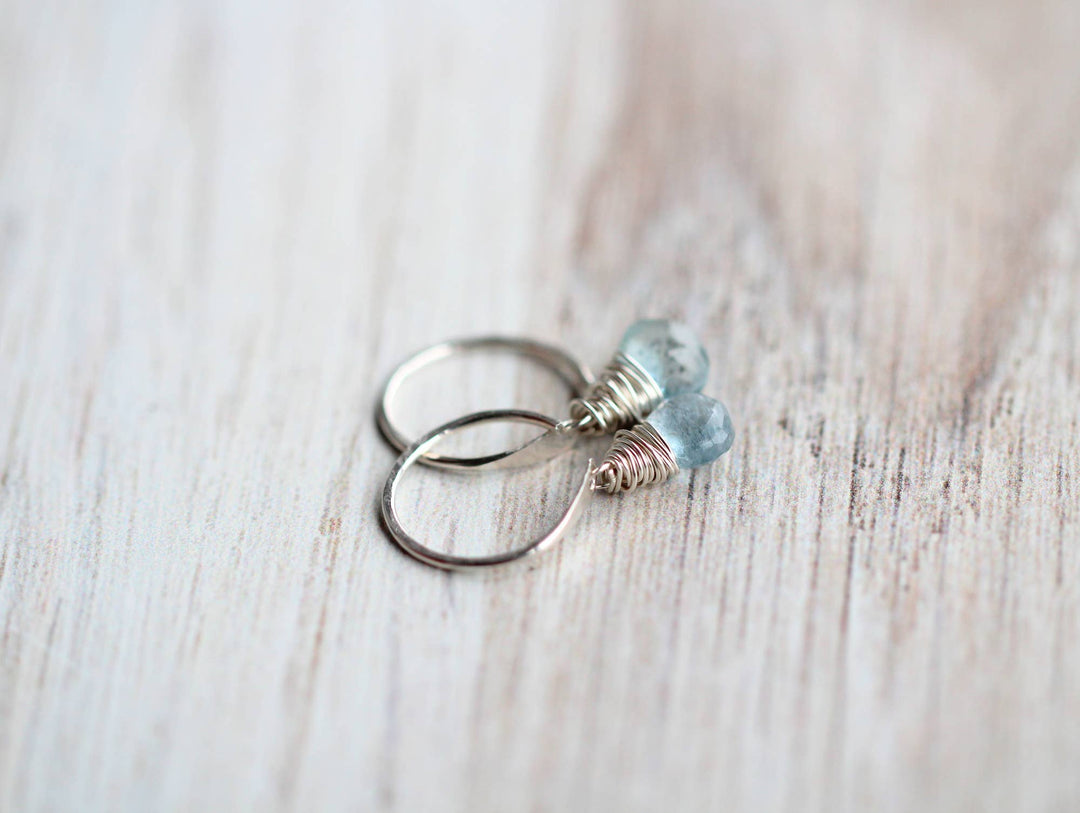 Earrings-Labradorite Dangle Hugs
