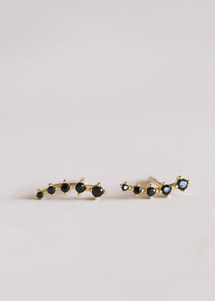 Earrings-Black Crawler