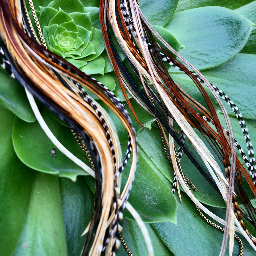 Earrings-FREEBIRDS COLLECTION: Extra Long Feather-Mixed Grizzly