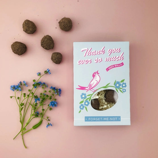 Garden Seed Ball Gift Box