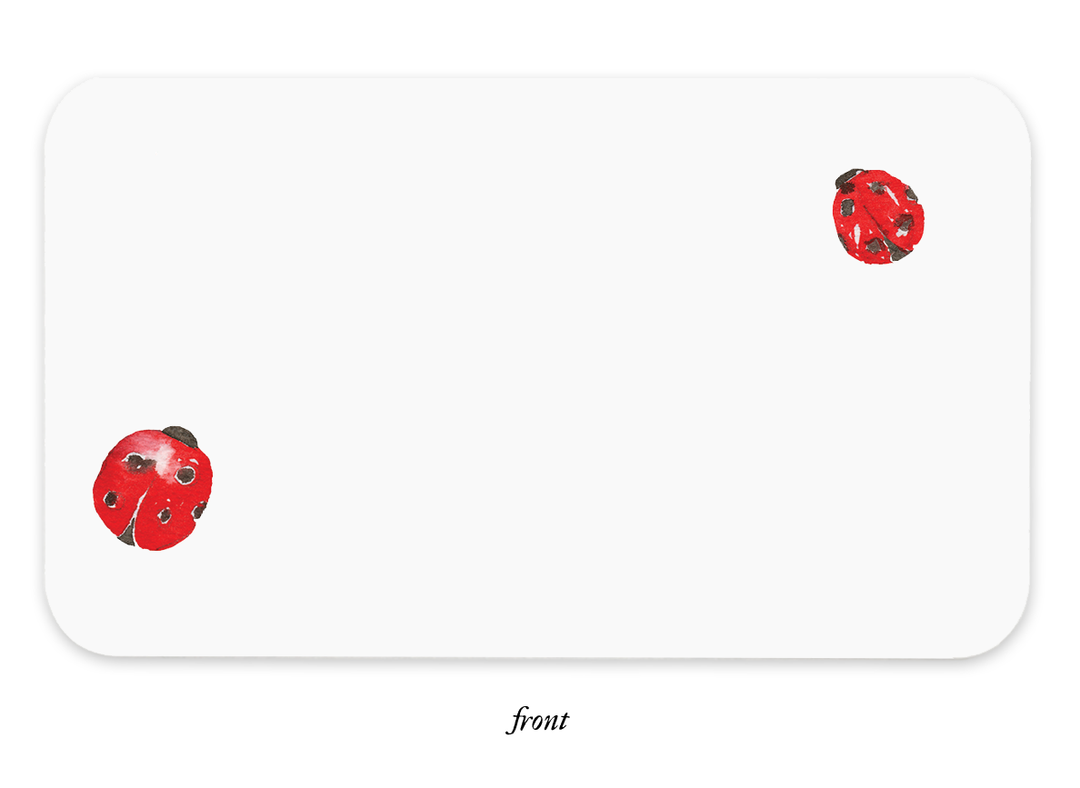 Little Notes®-Ladybugs Boxed Set of 55 Mini Notes