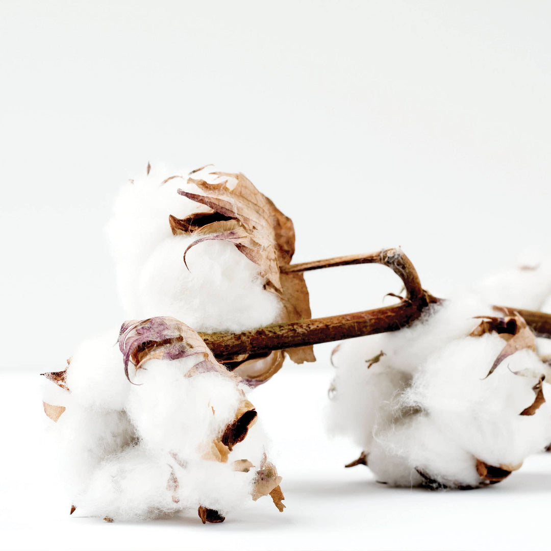 Bubble Bath-Seersucker-Sandalwood + Cotton 9oz
