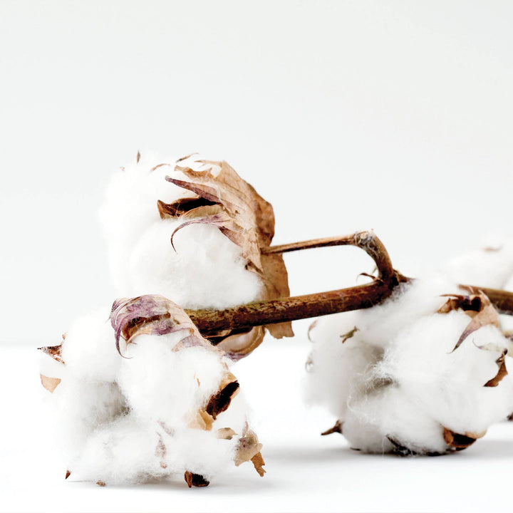 Bubble Bath-Seersucker-Sandalwood + Cotton 9oz