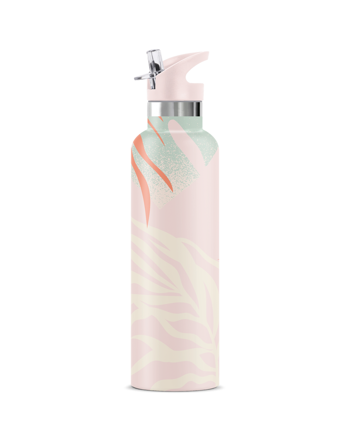 AHE | 25 oz Insulated Water Bottle Flip' n ' Sip Lid