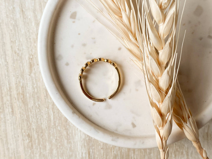 Ring-Ceres