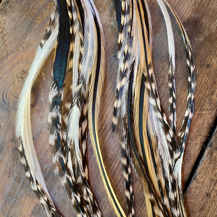Earrings-FREEBIRDS COLLECTION: Cone Feather-Golden Black Grizzly