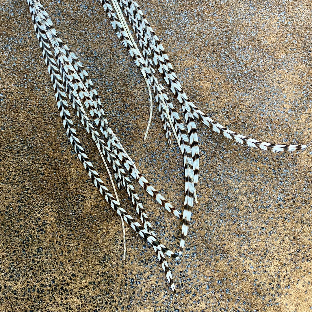 Astali Earrings-Turquoise & Mini Feather-Grizzly/Silver, Western
