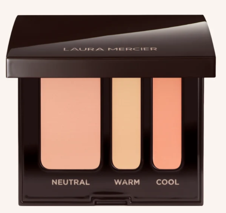 NEW Secret Camoflauge Complexion Perfector Concealer
