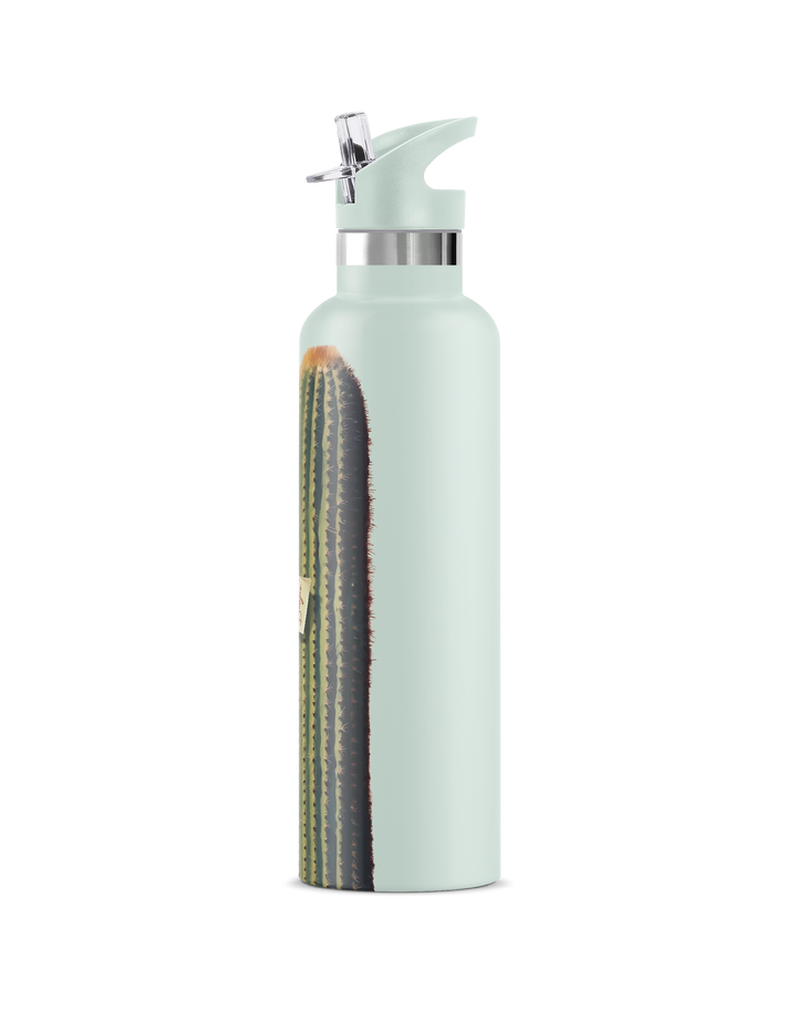 BANDIT | Vintage Pin-Up Bandit Insulated Water Bottle 25 oz-Jade