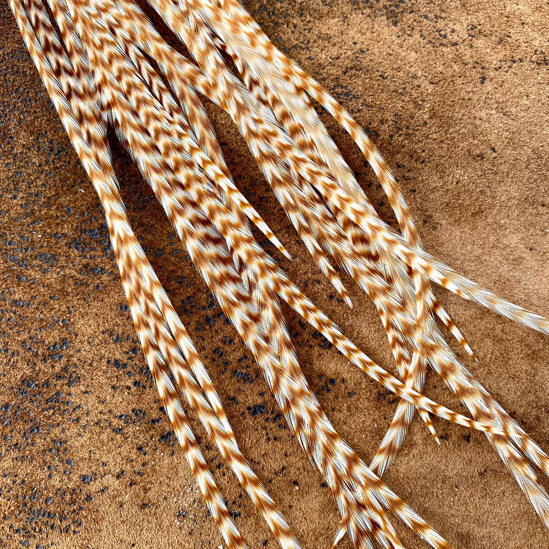 Earrings-Long Feather & Cone-Ginger Grizzly/Gold, Western