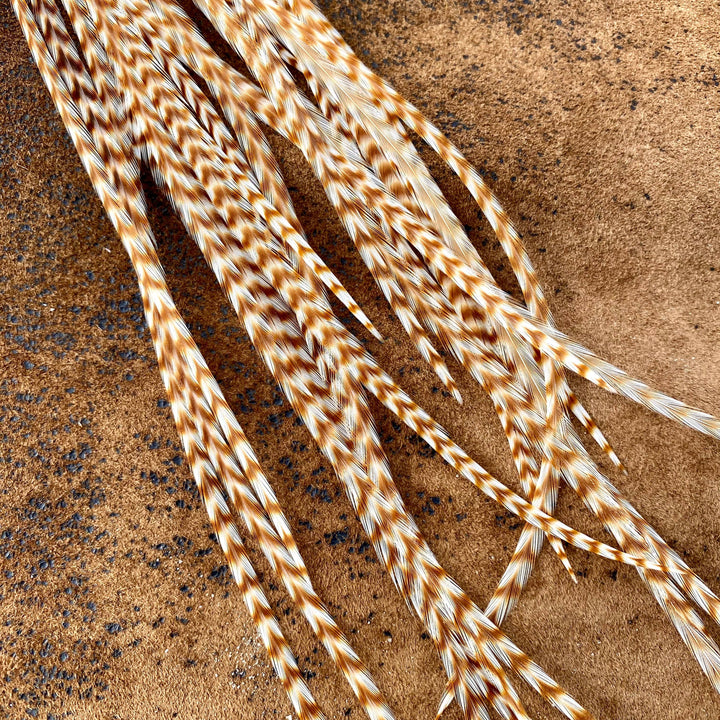 Earrings-Long Feather & Cone-Ginger Grizzly/Gold, Western