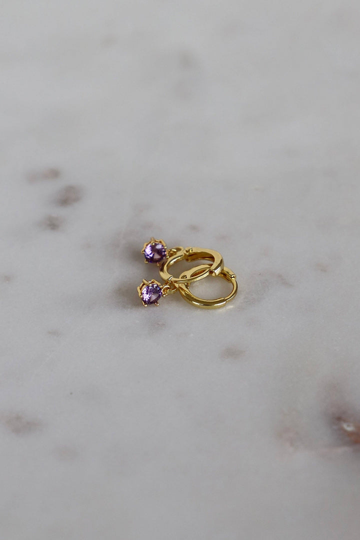 E1734G Earrings-Round Birthstone Huggies