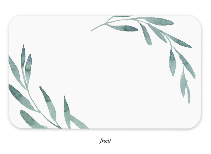 Little Notes®-Olive Branch Boxed Set of 85 Mini Notes