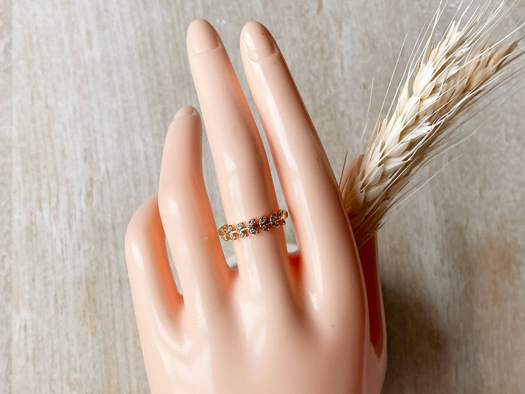 Ring-Ceres