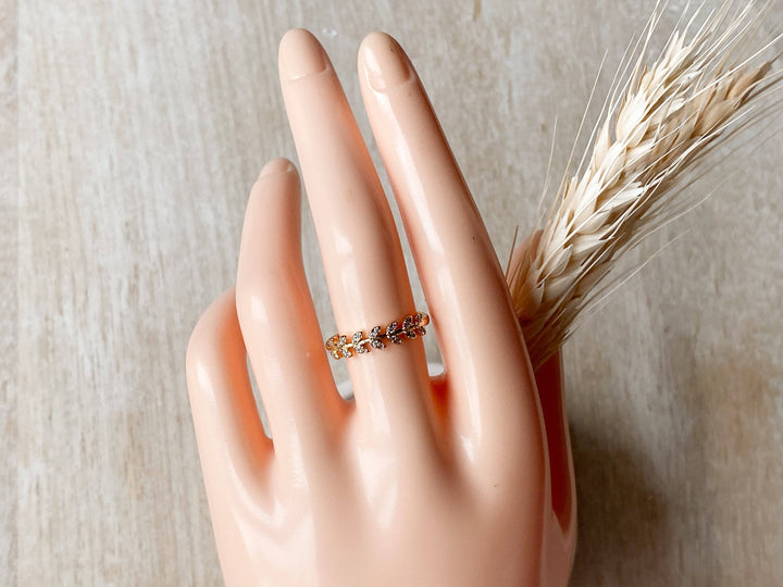 Ring-Ceres