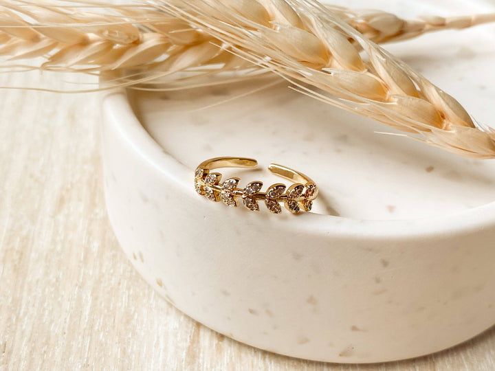 Ring-Ceres