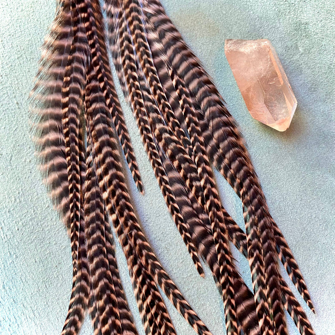 Earrings-FREEBIRDS COLLECTION: Cone Feather-Coral Grizzly