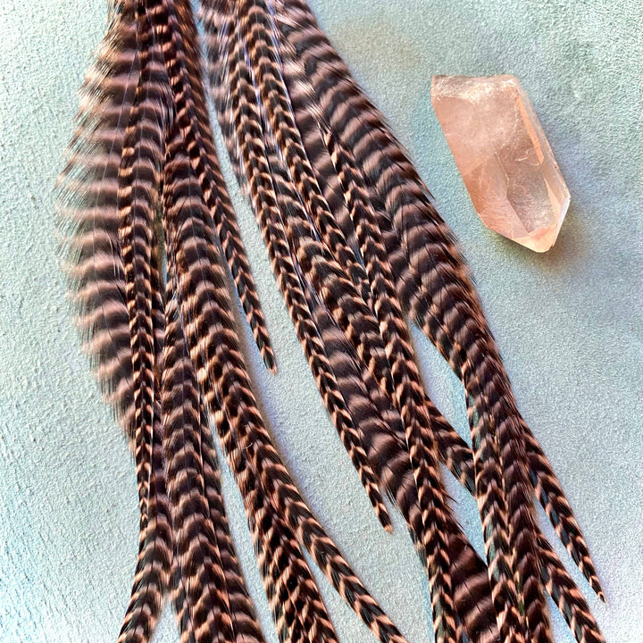 Earrings-FREEBIRDS COLLECTION: Cone Feather-Coral Grizzly