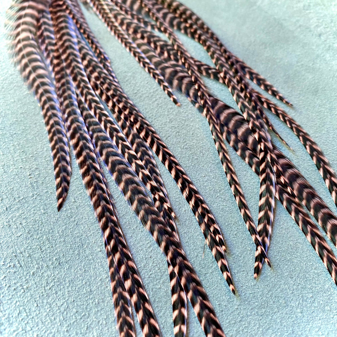 Earrings-FREEBIRDS COLLECTION: Cone Feather-Coral Grizzly