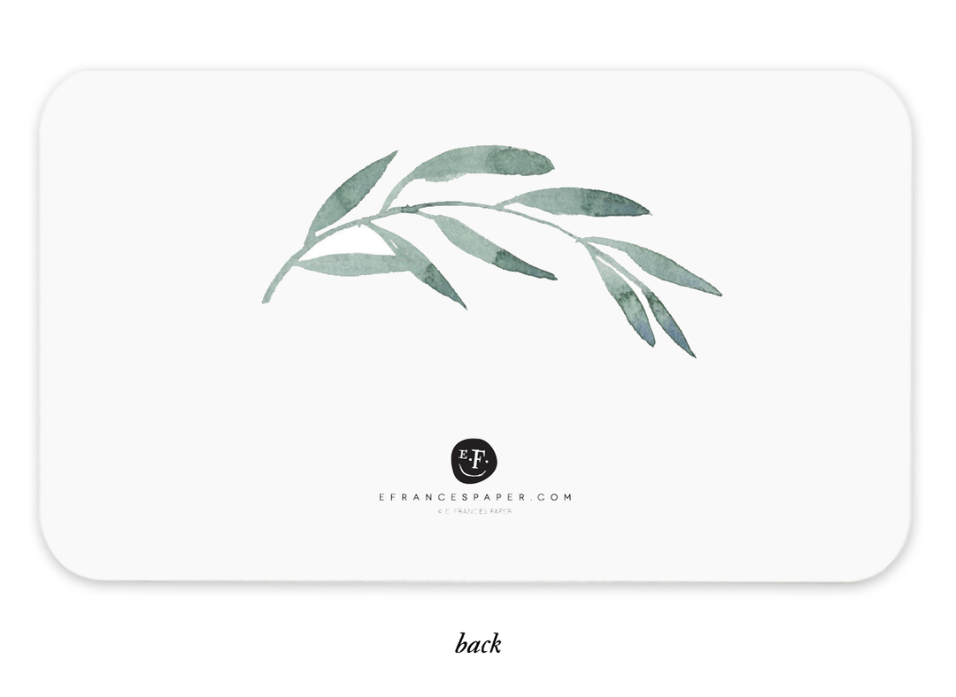 Little Notes®-Olive Branch Boxed Set of 85 Mini Notes