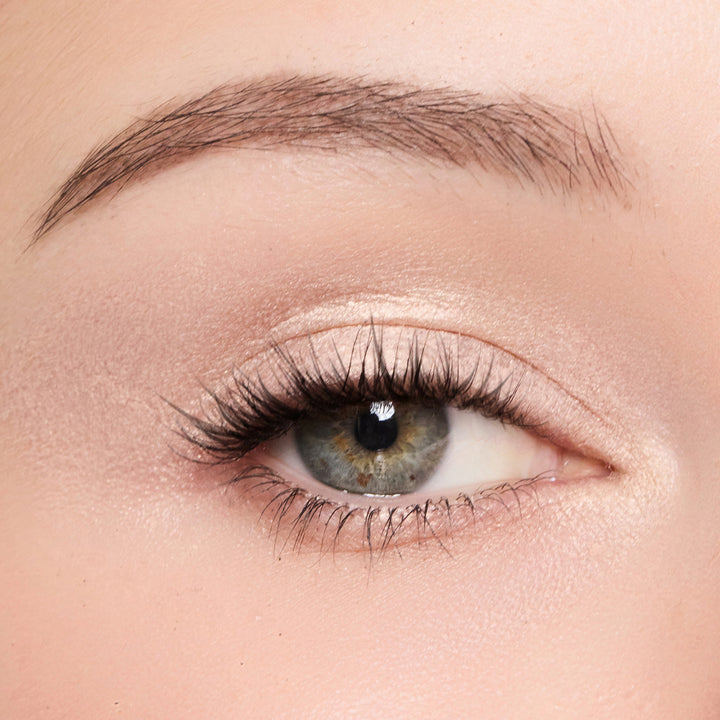 24 Hour Shadow & Liners