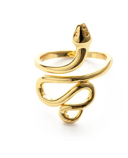 Mind's Eye Ring